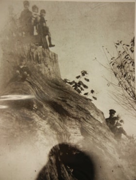 Blasting stump, [1921 or 1922] (date of original), digitally copied 2012 thumbnail