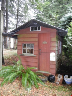 Backyard playhouse, [199-] (date of original), digitally copied 2012 thumbnail