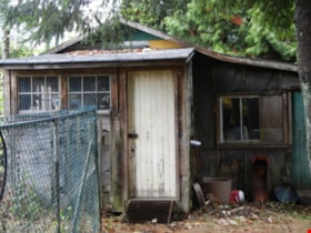 Backyard shed, [199-] (date of original), digitally copied 2012 thumbnail