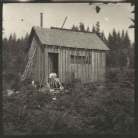 Unidentified woman in front of wood shed, [1900-1930] thumbnail