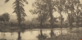 Stream, [1900-1930] thumbnail