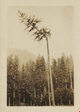 Knight Inlet, [between 1925 and 1940] thumbnail