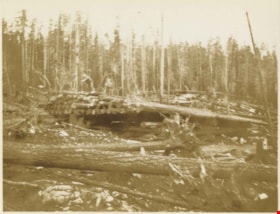 Logs, 1925 thumbnail
