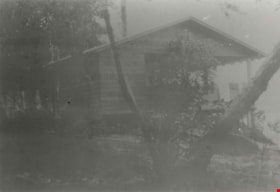 Cottage in the woods, [1925] thumbnail