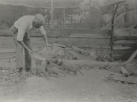 Herbert Vidal at a fox farm, 1927 thumbnail