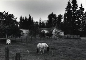 Horse Grazing at 6861 Kitchener Street, October 4, 1976 thumbnail