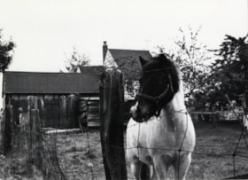 Horse at 6861 Kitchener Street, October 4, 1976 thumbnail
