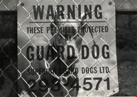 Foster's Kennels, October, 1976 thumbnail