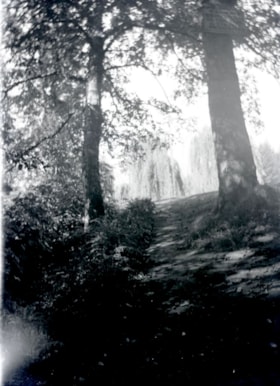 Two large walnut trees, [194-] (date of original), copied 2014 thumbnail