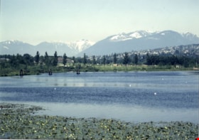 Burnaby Lake facing north, 1982 thumbnail
