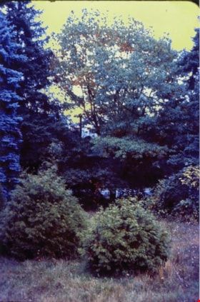 Looking east from north side of 5118 Douglas Road - The Roberts House, 1971 thumbnail