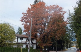 Looking northwest from Douglas Road, October 2015 thumbnail