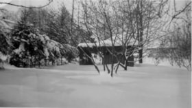 Back yard of 5118 Douglas Road, [1951] thumbnail