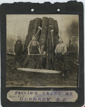 Falling Trees at Burnaby, BC, [190-] thumbnail