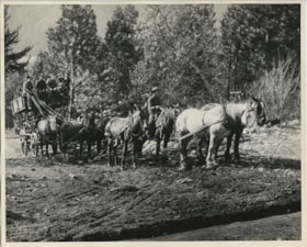 Horse-drawn cart, [1910] (date of original), copied [1972?] thumbnail
