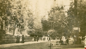 Stanley Park, Vancouver, [1909] thumbnail