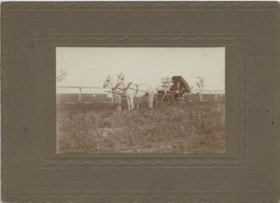 Edgar Elliott and his father in a buggy, [1905] thumbnail