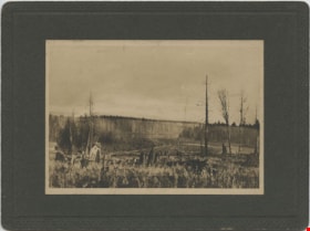 Looking from Woodlunds towards Burnaby Lake in 1899, 1899 thumbnail