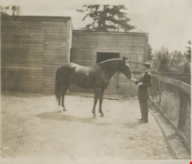 Young man with horse, [190-] thumbnail