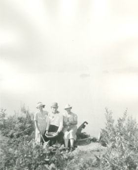 Picnic on the bluff, [193-?] (date of original), copied 1976 thumbnail