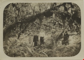 Children in the woods, [1908] thumbnail