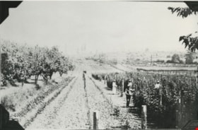 Farmland, [190-] (date of original), copied 1977 thumbnail