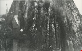 Maude Hill standing by a tree, [190-?] (date of original), copied 1977 thumbnail