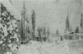 Winter on the farm, [1901] (date of original), copied 1978 thumbnail