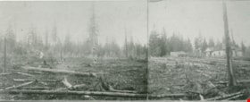 Cleared land, [190-](date of original), copied 1978 thumbnail
