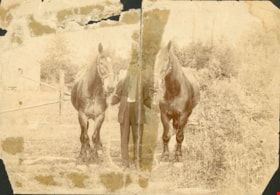Murdoch McMurray with horses, 1911 thumbnail