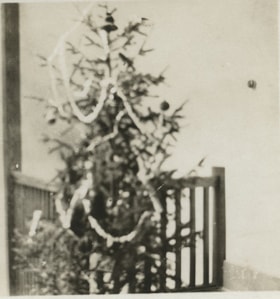 Christmas tree, [191] thumbnail