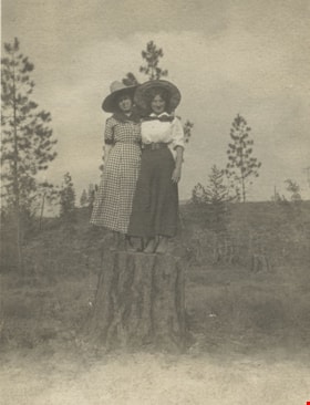 Standing on a tree stump, [191-] thumbnail