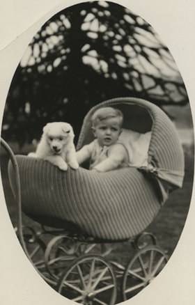 Boy and puppy in a carriage, [192-] thumbnail