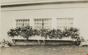 Side of house with window boxes, [191-?] thumbnail