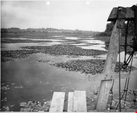 View from dredge, 1951  (date of original), copied [1985] thumbnail