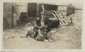 Boy riding a large dog, [1915] thumbnail