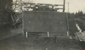 Triple Spring Bumper sign, [193-] thumbnail