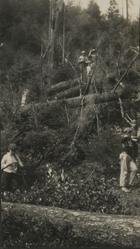 Boys Scouts in woods, Aug. 1925 thumbnail
