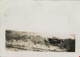 Field artillery gun exercise at Sarcee, 1936 thumbnail