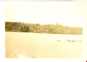 Deer Lake, July 1937 thumbnail