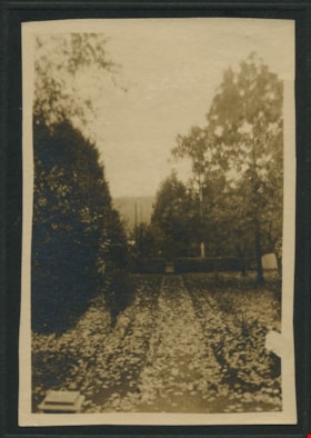 Leaf-covered walkway, [between 1890 and 1909] thumbnail
