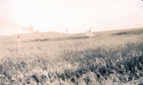 Field, [1944] thumbnail