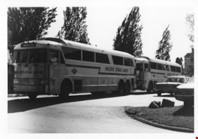 Pacific stage lines buses, May 1971 thumbnail