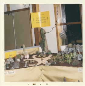 Burnaby Cactus and Succulent Club and Desert Plant Club display, May 1971 thumbnail
