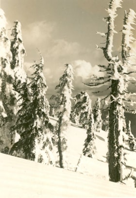 Winter snow scene on Mount Seymour, [between 1939 and 1949] (date of orignals), copied 2008 thumbnail