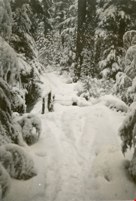 Ski trail on Mount Seymour, [between 1939 and 1949] (date of orignals), copied 2008 thumbnail
