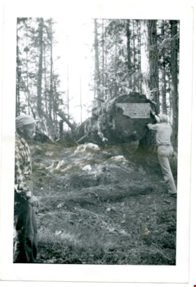 Burnaby camp site at Wilson Creek, 1957 thumbnail