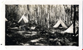 Tents at Granthams Landing camp, Jul 1923 thumbnail