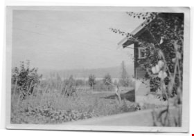 Man walking by a vegetable garden at the W. A. Mawhinney house., 1915-1930 thumbnail