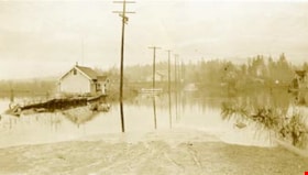 Flooded Chan family farm, [1948] thumbnail